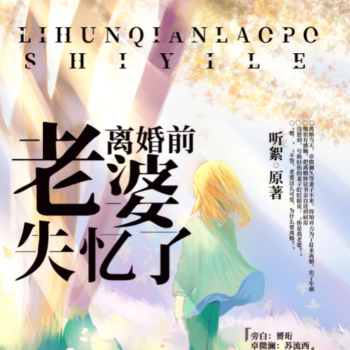 离婚前老婆失忆了 第一季